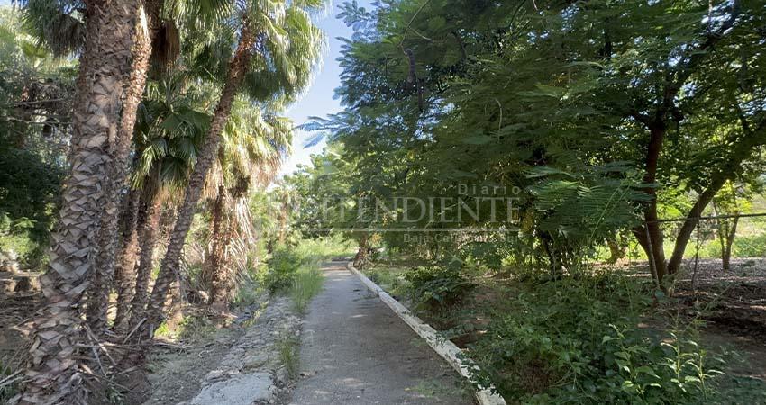 Aprueba Consejo Asesor el plan de manejo para el Estero de San José del Cabo