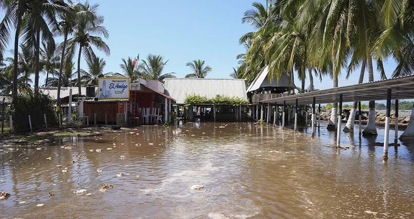 'Priscilla' deja daños puntuales en BCS, Jalisco y Nayarit, sin reporte de lesionados o fallecidos