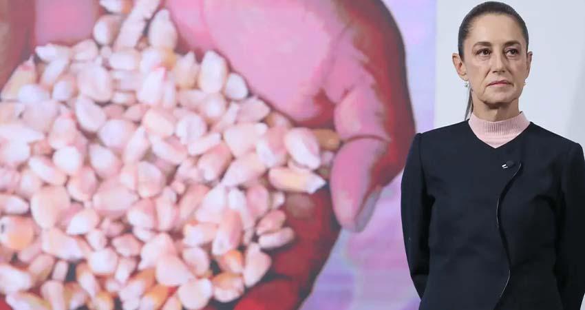 Gobierno de Sheinbaum confirma acuerdo con productores de maíz tras días de bloqueos y protestas
