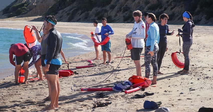 Promueve La Paz seguridad en actividades de avistamiento y nado con orcas