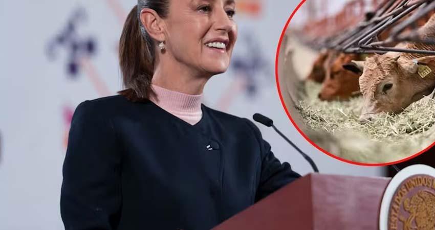 Sheinbaum se reunirá con secretaria de Agricultura de EU para abordar cierre de frontera al ganado