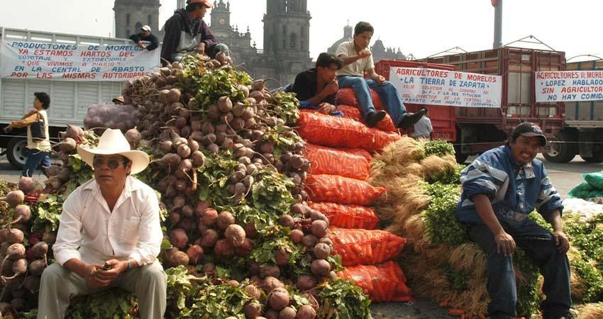 Campesinos denuncian “crisis agrícola sin precedentes”