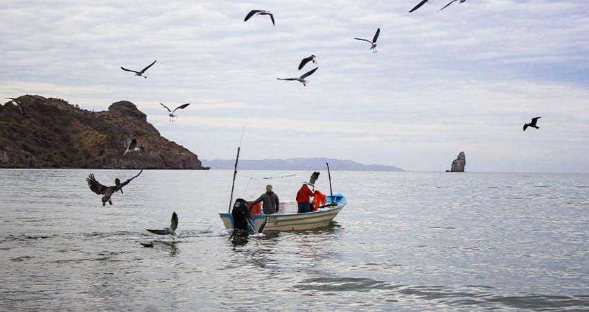 ¿Un paso hacia la justicia social? México incorporará las pérdidas y daños en sus nuevos compromisos climáticos