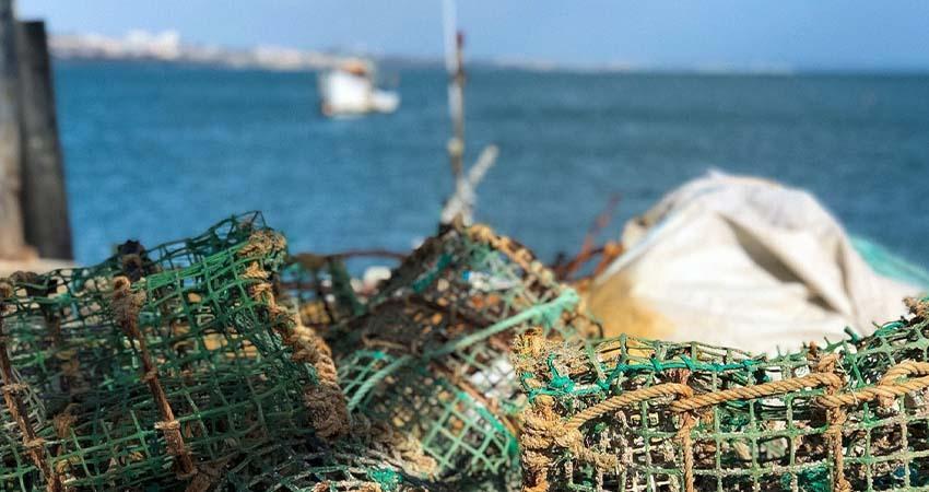 Alertan que 50% de pesquerías en México están en riesgo