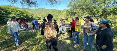 Estudiantes de UABCS realizan práctica de campo en San Antonio para fortalecer su formación botánica y química
