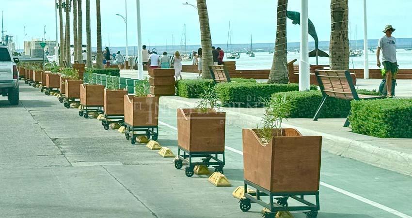 Macetas para el malecón costaron más de un millón de pesos