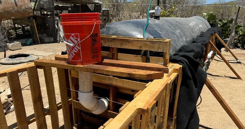 Proyecto de biodigestores impulsa alternativas energéticas sostenibles en comunidades rurales de BCS