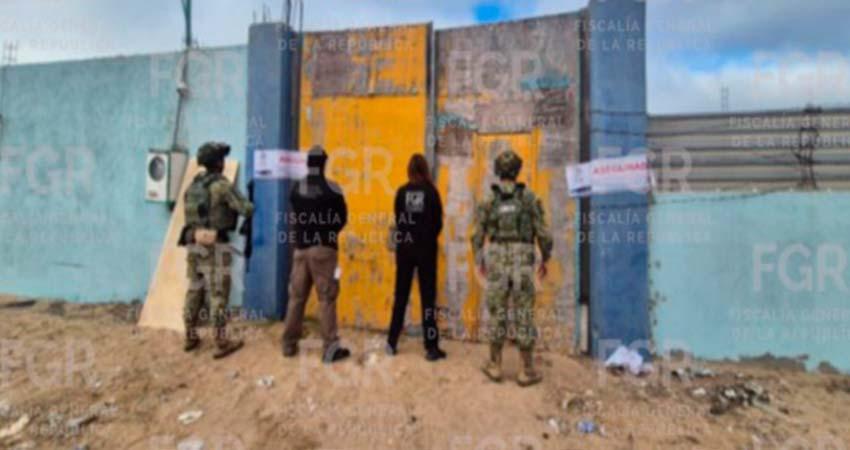 En cateo, FGR asegura más de 265 kilos de marihuana en un inmueble en Mulegé