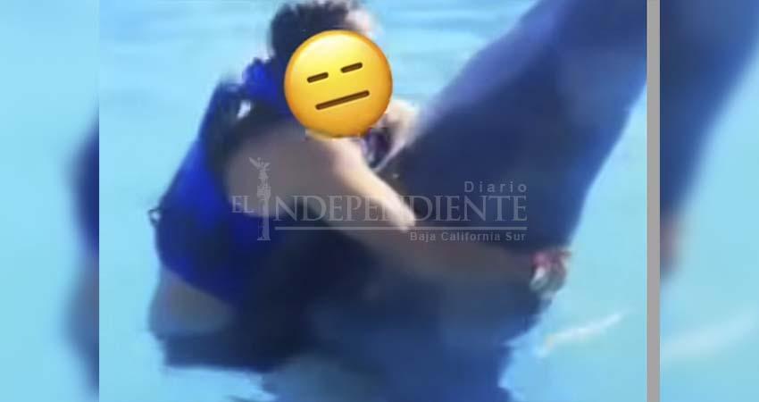 Organismo internacional denuncia a Cabo Dolphin por prácticas ilegales con delfines en Los Cabos