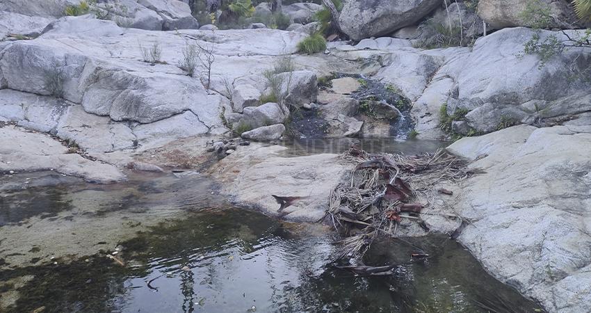 Denuncian deterioro ambiental en la Poza Pepe de la Sierra La Laguna