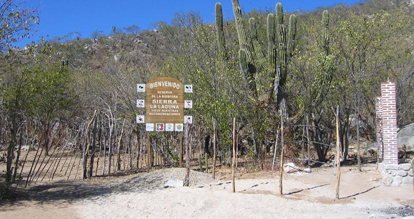 Pide Milena Quiroga comunicación y que se incluya a rancheros en proyectos de conservación en Sierra de la Laguna