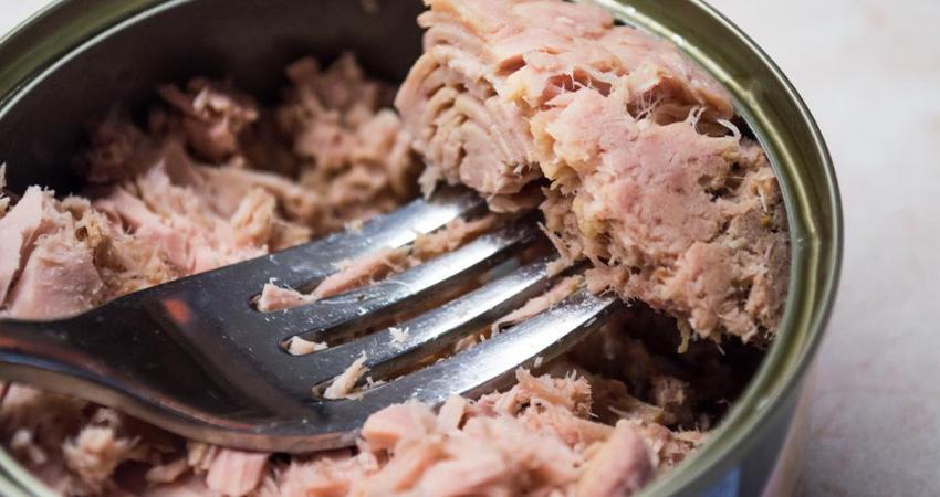 “Que menos soya se haga pasar por la carne de este pez”: Grupo Mar