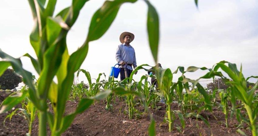 Agricultores critican baja productividad y dependencia de importaciones en México