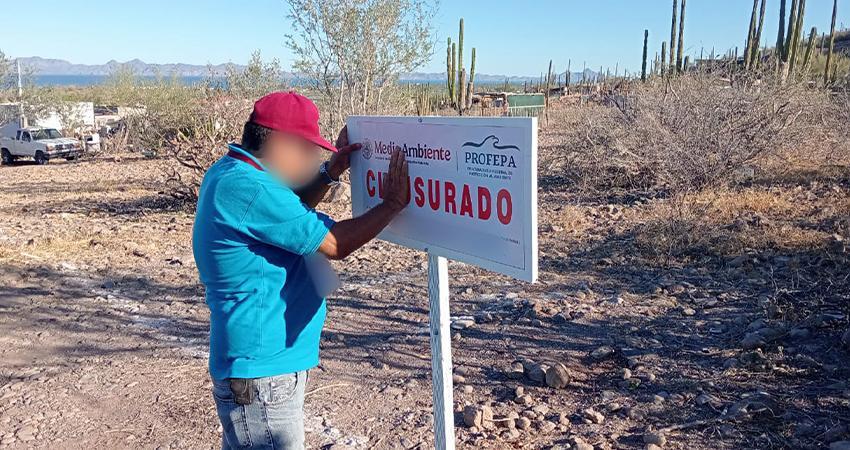Por el desmonte de vegetación, Profepa clausura predio en Loreto