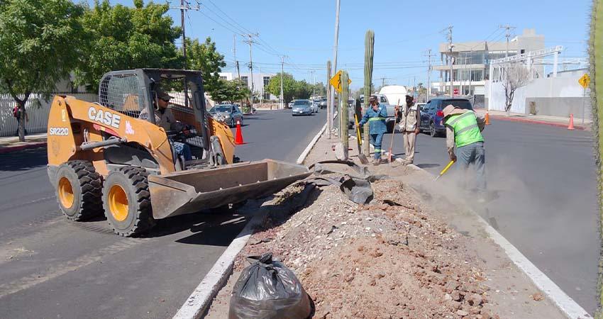 Servicios Públicos de La Paz amplía el programa de Camellones Choyeros