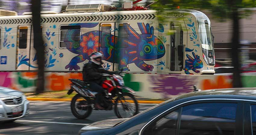 CDMX se pinta de ajolotes a días del Mundial, mientras la especie desaparece