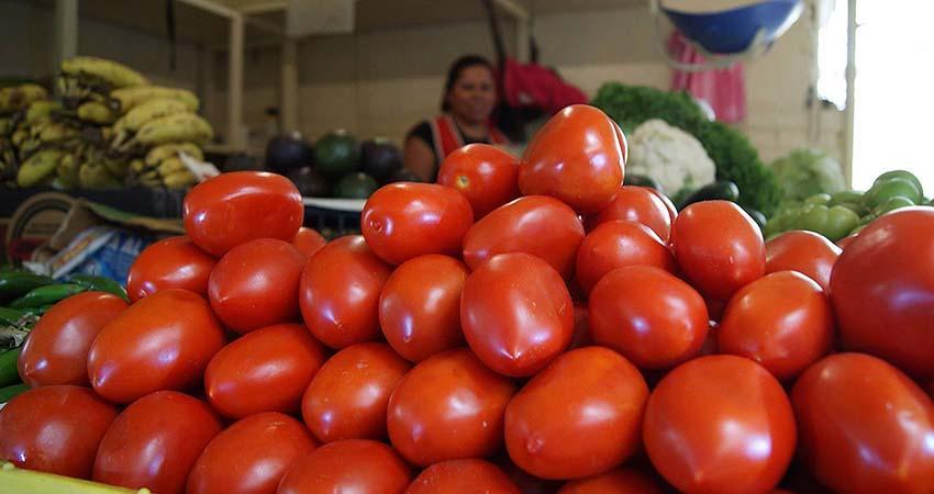 Acuerdan ordenar mercado del jitomate tras repunte de precios