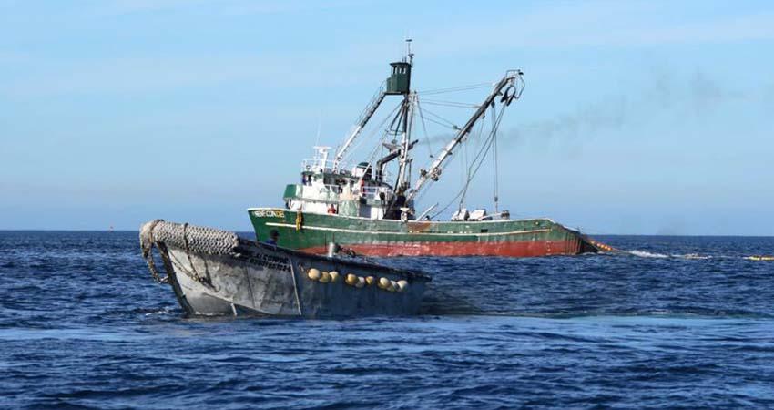 Bahía Magdalena, BCS: un santuario sin protección frente a la pesca industrial