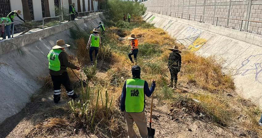 Refuerza Ayuntamiento de La Paz acciones preventivas con limpieza de arroyos y canales ante temporada de huracanes 2026