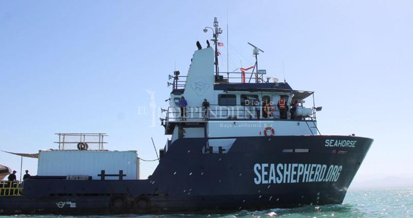 Nuevo polígono para la vaquita marina avanza sin consulta pública ni consenso social