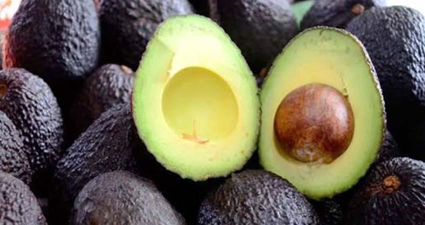 Suben 6% ventas del aguacate mexicano en Estados Unidos durante el Mundial