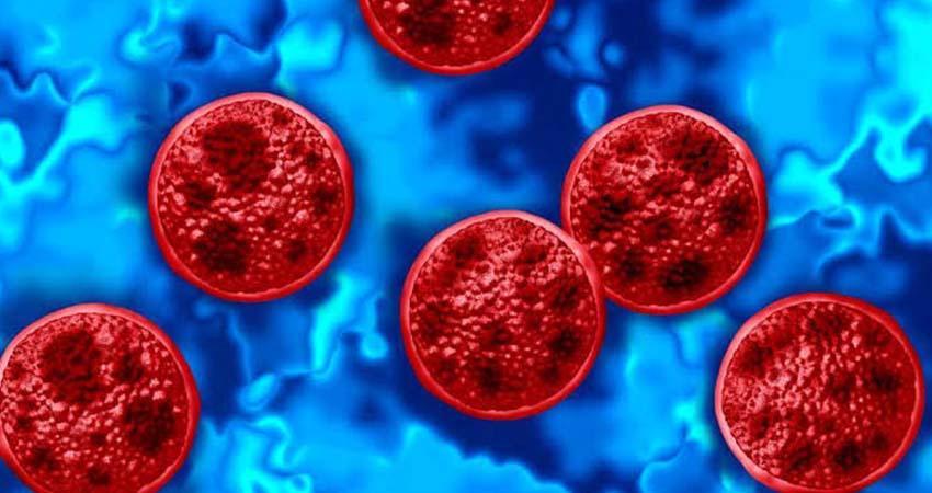 México reporta tres casos de Cyclospora, ¿hay brote de la enfermedad?