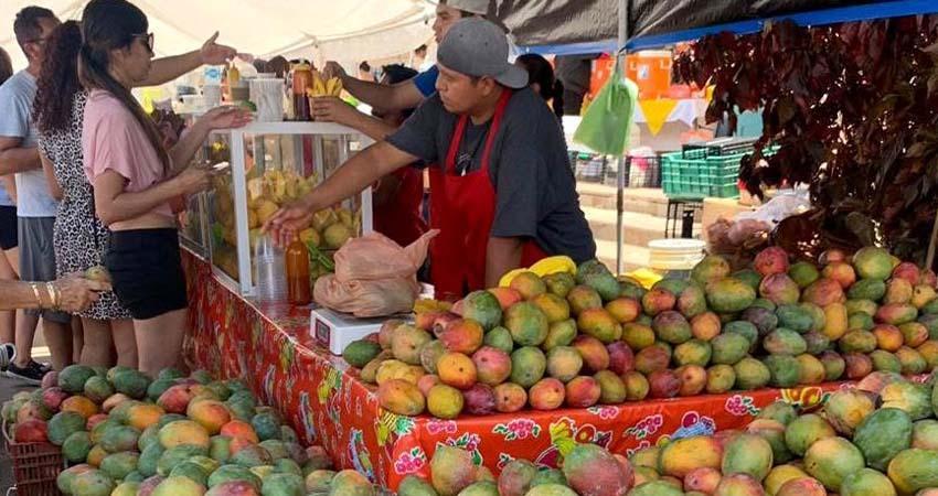 Ayuntamiento de La Paz invita a celebrar el XVII Festival del Mango en Todos Santos