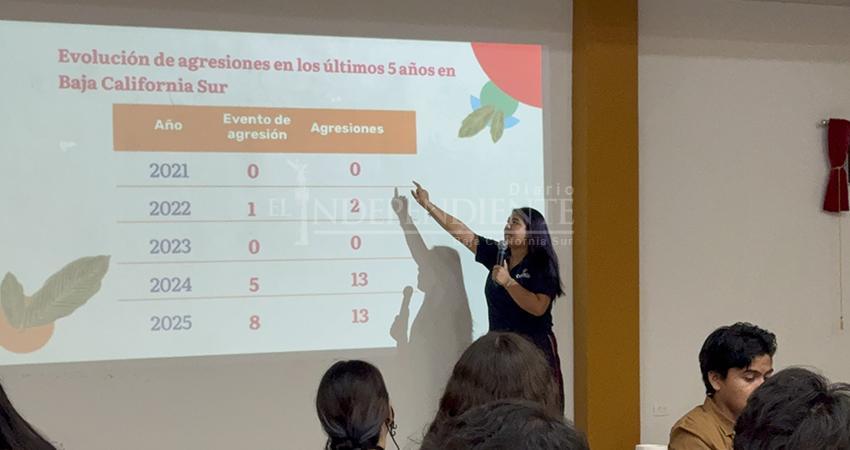 BCS entre los estados con más agresiones contra defensores del medio ambiente