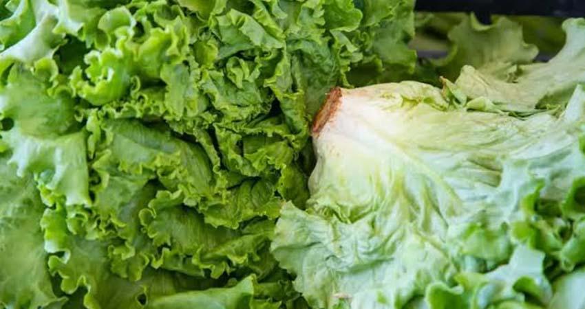 Taylor Farms cierra por ahora planta de procesamiento en México por aumento de casos de ciclosporiasis en EU