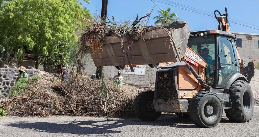 “Presidenta en tu Barrio” transforma 13 colonias de La Paz con limpieza, bacheo y rehabilitación