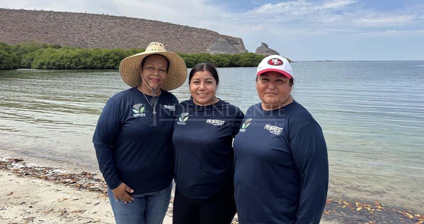 Grupo Yuum, ocho años de una labor silenciosa; limpian manglares y cuidan Balandra