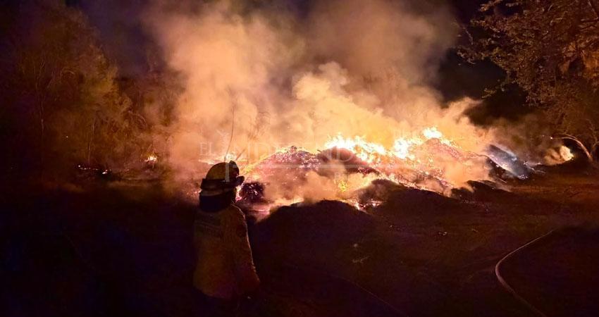 Incendio en el Estero Josefino habría sido provocado: Bomberos mantienen investigación