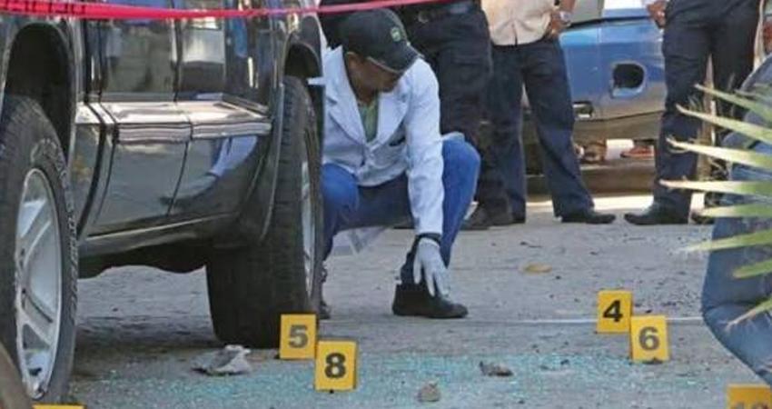 Homicidios dolosos bajan 51% en 22 meses, reporta Sheinbaum