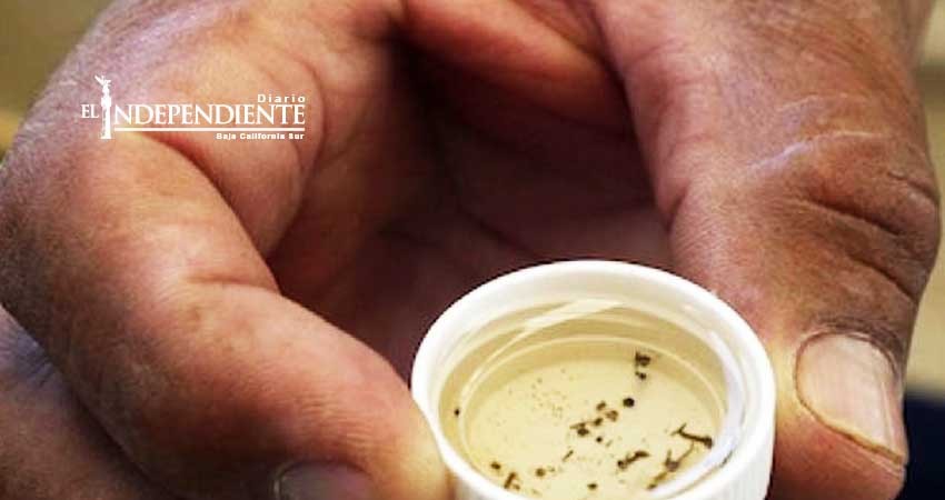 Inician los trabajos para prevenir proliferación de moscos en BCS