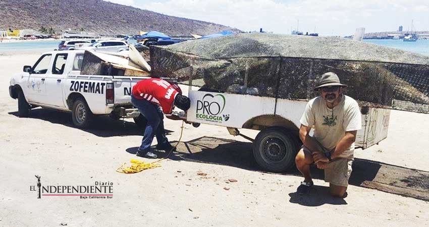 Voluntarios han retirado 36 toneladas de basura submarina en La Paz