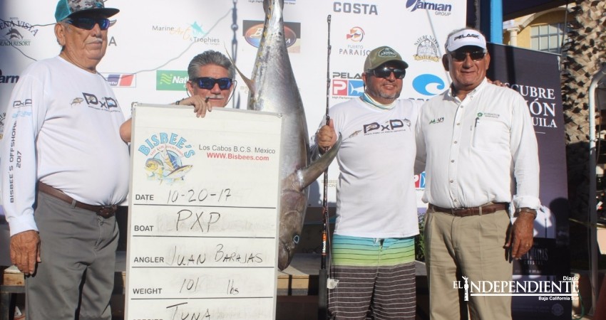 Con un marlín de 574 libras se coronó el campeón del torneo Bisbee´s Offshore