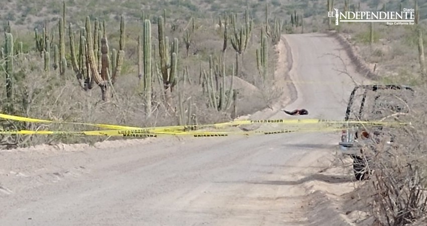 8 ejecutados, 4 heridos y una narcomanta durante el fin de semana de navidad