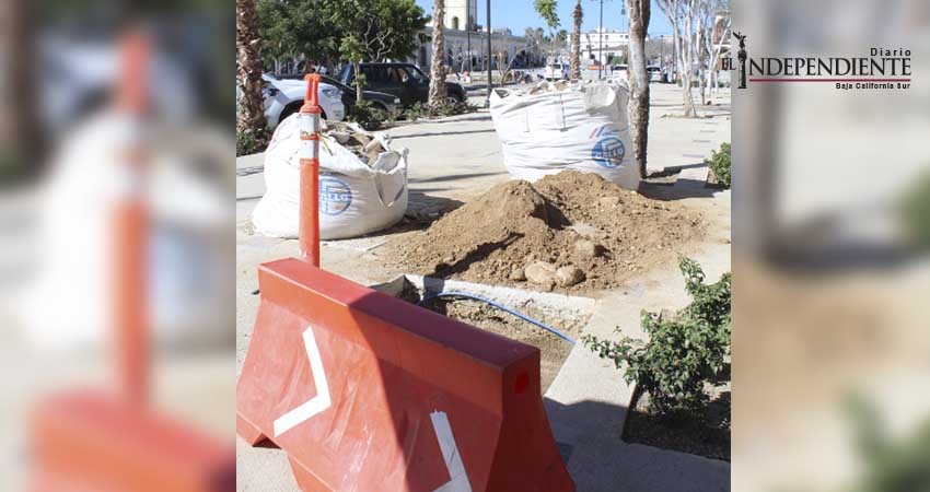 Una pesadilla de “cero ventas”, denuncian comerciantes del Blvd Mijares en SJC 