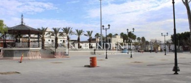 A finales de febrero llegarán los árboles que adornarán la Plaza Mijares de SJC