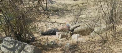 Los Cabos, el municipio más violento del mundo durante el 2017