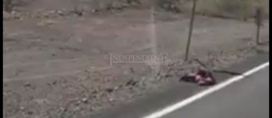 Son localizadas las cabezas de dos hombres en la carretera Transpeninsular