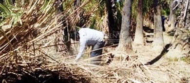 Este mes CONAFOR visitará el Estero de San José