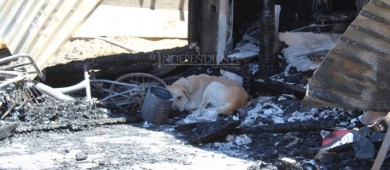 Incendio consume cuatro viviendas en colonia Tierra y Libertad de CSL