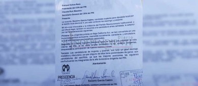 Renuncia candidata suplente del PRI a IV diputación local
