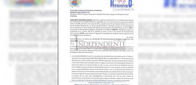 Presentan nueva denuncia contra mina “La Testera” ante Profepa