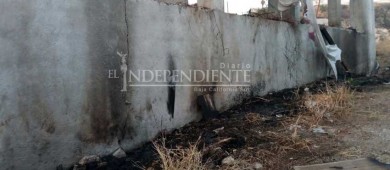 Se agudiza la guerra; se atacan entre el PT, PVEM y PAN  por Los Cabos