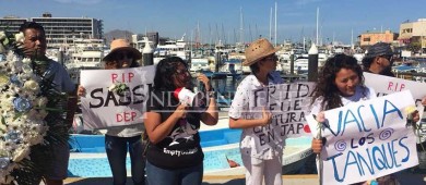 Con manifestación piden el cierre de delfinarios en Los Cabos