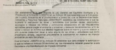Acusa comité a candidato del PVEM de vínculos con La Testera 