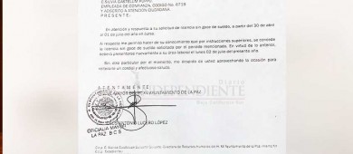 Tiene Silvia Puppo permisos "en orden" para hacer campaña: Armando Martínez