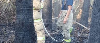 Se registra incendio en inmediaciones del estero; superficie afectada fue de unos 35 m2